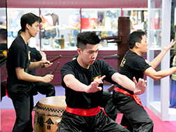 Kungfu demonstration by young martial artists
