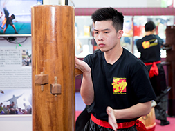 Kungfu demonstration by young martial artists