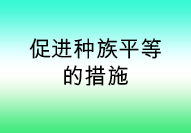 Measures on Promotion of Racial Equality
