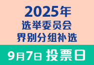 2025 Election Committee Subsector By-elections